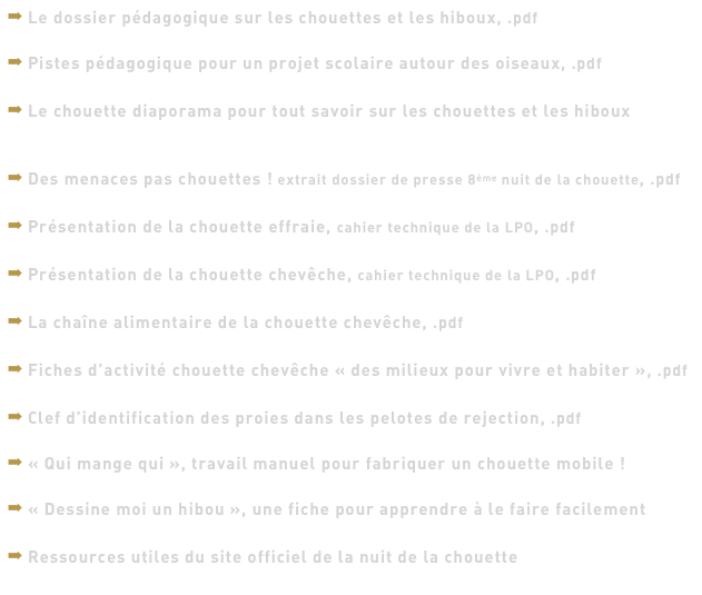 Le dossier pédagogique sur les chouettes et les hiboux, .pdf
➔ téléchargez le dossier d’un clic ici
Pistes pédagogique pour un projet scolaire autour des oiseaux, .pdf
➔ téléchargez le fichier d’un clic ici  
Le chouette diaporama pour tout savoir sur les chouettes et les hiboux
➔ téléchargez le fichier au format .pdf d’un clic ici
➔ téléchargez le diaporama « power point »  d’un clic ici
Des menaces pas chouettes ! extrait dossier de presse 8ème nuit de la chouette, .pdf
➔ téléchargez le fichier d’un clic ici  
Présentation de la chouette effraie, cahier technique de la LPO, .pdf
➔ téléchargez le fichier d’un clic ici      
Présentation de la chouette chevêche, cahier technique de la LPO, .pdf
➔ téléchargez le fichier d’un clic ici      
La chaîne alimentaire de la chouette chevêche, .pdf
➔ téléchargez la fiche d’un clic ici 
Fiches d’activité chouette chevêche « des milieux pour vivre et habiter », .pdf
➔ téléchargez les fiches d’un clic ici   
Clef d’identification des proies dans les pelotes de rejection, .pdf
➔ téléchargez la fiche d’un clic ici
« Qui mange qui », travail manuel pour fabriquer un chouette mobile !
➔ téléchargez le fichier d’un clic ici
« Dessine moi un hibou », une fiche pour apprendre à le faire facilement
➔ téléchargez le fichier d’un clic ici
Ressources utiles du site officiel de la nuit de la chouette
➔ voir la liste des documents en téléchargement