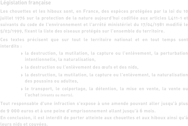 Législation française
Les chouettes et les hiboux sont, en France, des espèces protégées par la loi du 10 juillet 1976 sur la protection de la nature aujourd'hui codifiée aux articles L411-1 et suivants du code de l'environnement et l'arrêté ministériel du 17/04/1981 modifié le 5/03/1999, fixant la liste des oiseaux protégés sur l'ensemble du territoire.
Ces textes précisent que sur tout le territoire national et en tout temps sont interdits :
la destruction, la mutilation, la capture ou l'enlèvement, la perturbation intentionnelle, la naturalisation,
la destruction ou l'enlèvement des œufs et des nids,
la destruction, la mutilation, la capture ou l'enlèvement, la naturalisation des poussins ou adultes,
le transport, le colportage, la détention, la mise en vente, la vente ou l'achat (vivants ou morts).
Tout responsable d'une infraction s'expose à une amende pouvant aller jusqu'à plus de 9 000 euros et à une peine d'emprisonnement allant jusqu'à 6 mois.
En conclusion, il est interdit de porter atteinte aux chouettes et aux hiboux ainsi qu'à leurs nids et couvées.